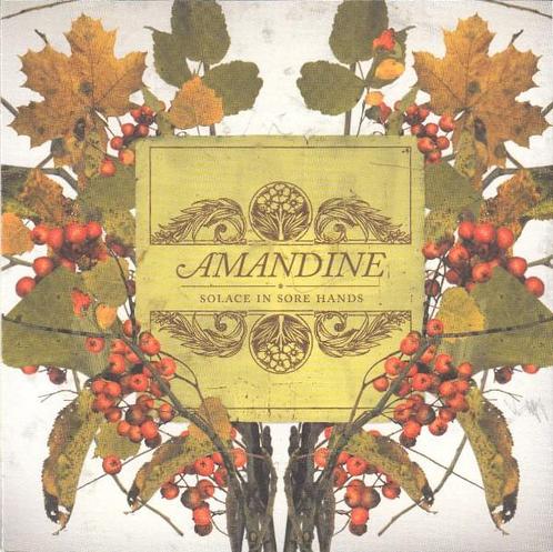 cd - Amandine - Solace In Sore Hands, Cd's en Dvd's, Cd's | Overige Cd's, Zo goed als nieuw, Verzenden