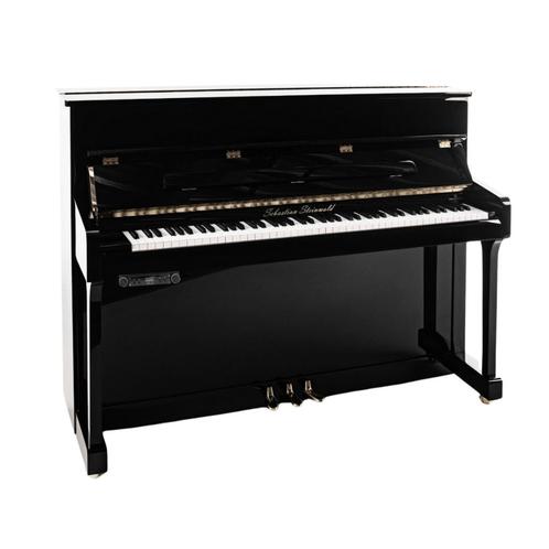 Sebastian Steinwald 110 (SilentOne, halve klep) PE messing s, Muziek en Instrumenten, Piano's