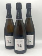 Fleury, Brut - Champagne Blanc de Noirs - 3 Fles (0,75, Verzamelen, Wijnen, Nieuw