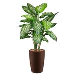 Dieffenbachia kunstplant, H140cm, Huis en Inrichting, Kamerplanten, Ophalen of Verzenden