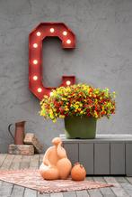 Calibrachoa Mixmaster - Firework / 30cm hangpot, Ophalen of Verzenden