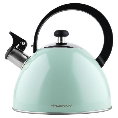 Florina Brillo fluitketel RVS mint groen 2.5 Liter - ook, Witgoed en Apparatuur, Waterkokers, Ophalen of Verzenden