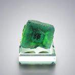 Premium XXL fluoriet met Cubic Eye Phantom, Okorusu-mijn