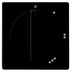 Centraalplaat | Busch-Jaeger | Future Linear | 3 standen, Doe-het-zelf en Verbouw, Elektra en Kabels, Verzenden, Nieuw