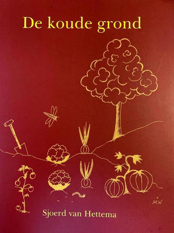 De koude grond 9789076241395 Sjoerd van Hettema, Boeken, Literatuur, Zo goed als nieuw, Verzenden