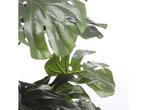 Mica Decorations Monstera - Kunstplant H140 x Ø80 cm -, Huis en Inrichting, Kamerplanten, Verzenden