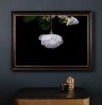 Diane Pfister - Crown Estate Collection No.34, Antiek en Kunst