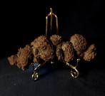 298 g 13,40 cm × 5,20 cm XXL fossiel dinosaurus of