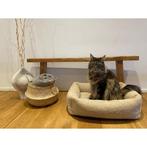 TEDDY Hondenmand CRÈME, Verzenden, Nieuw