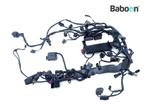 Kabelboom Triumph Street Triple R 675 2013-> ABS (2508065/7), Verzenden, Gebruikt