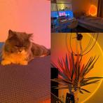 Zonsondergang Projectorlamp RGB LED met App en Afstandsbed., Verzenden, Nieuw