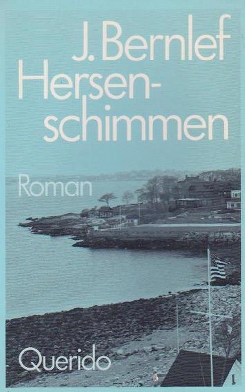 Hersenschimmen 9789021451817 J. Bernlef, Boeken, Romans, Gelezen, Verzenden