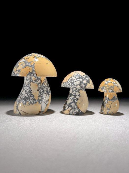 Geen minimumprijs - Prachtige set gele Maligano Jaspis, Antiek en Kunst, Kunst | Designobjecten