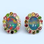 Zonder minimumprijs - Oorbellen 14K witgoud plating 925, Nieuw