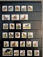 België 1985/2010 - Buzin - Buzin vogels alle waarden tussen, Postzegels en Munten, Postzegels | Europa | België, Gestempeld