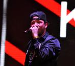 Kraantje Pappie Tickets Stadspark Te Koop, Tickets en Kaartjes