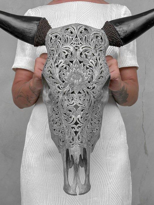 Geen reserveprijs - Authentieke Grey Bull Skull - Groot, Antiek en Kunst, Kunst | Designobjecten