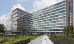 Te Huur Studio Bos en Lommerplantsoen In Amsterdam, 20 tot 35 m², Amsterdam