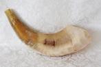 Shofar (Kosher) voornamelijk licht gekleurd,gepolijst., Verzenden, Nieuw