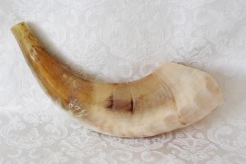 Shofar (Kosher) voornamelijk licht gekleurd,gepolijst.