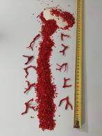Bloedkoraal Koraal - Corallium rubrum (Zonder Minimumprijs), Nieuw