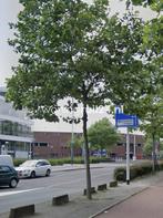 Woningruil - Hestiastraat 74 - 2 kamers en Amsterdam, Amsterdam