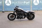 Veiling: Harley-Davidson Sportster 883N Iron Benzine 2014, Motoren, Chopper