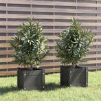 vidaXL Plantenbakken 2 st 31x31x31 cm massief grenenhout, Verzenden, Minder dan 60 cm, Nieuw, Hout