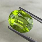 Zonder Minimumprijs Groen Olivijn - 5.53 ct - nternational, Sieraden, Tassen en Uiterlijk, Edelstenen, Nieuw
