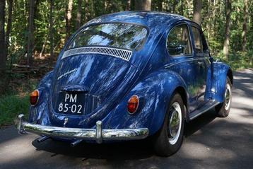 Volkswagen - Kever (Beetle) 1500 - 1967 beschikbaar voor biedingen