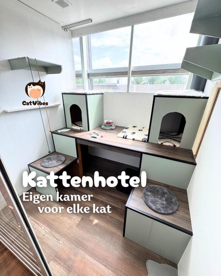 Cat Vibes Kattenhotel - jouw kattenopvang tijdens vakantie, Diensten en Vakmensen, Dieren | Katten | Verzorging, Oppas en Les