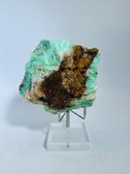 Mintgroen AAA Chrysoprase met Moederogennen Tanzania Display, Verzamelen, Mineralen en Fossielen