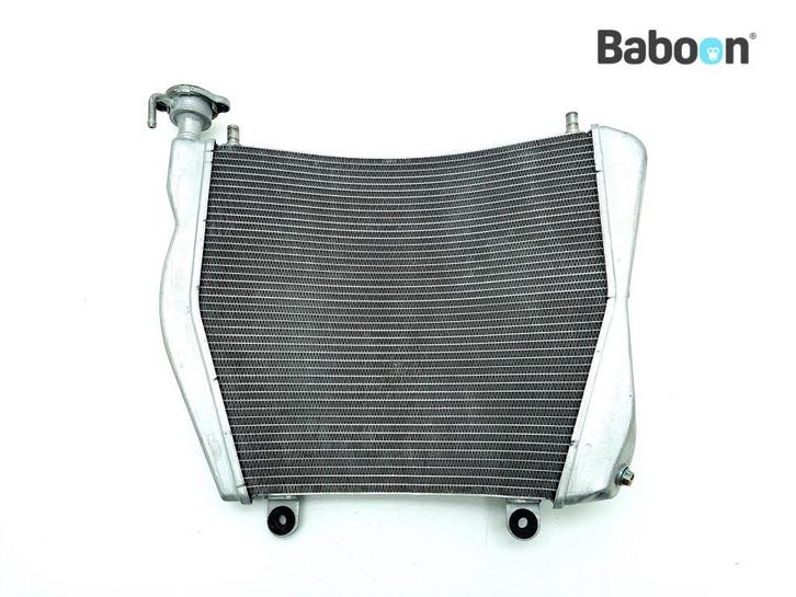 Radiateur Ducati 1100 Panigale V4 2018-2021, Motoren, Onderdelen | Ducati, Gebruikt, Verzenden