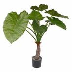 Kunst Alocasia calidora 80 cm - Overige kunstplanten, Huis en Inrichting, Kamerplanten, Ophalen of Verzenden