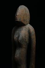 Heiligdomfiguur - Bambara - Mali, Antiek en Kunst, Kunst | Niet-Westerse kunst