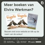 De man op de dijk 9789050116732 Elvira Werkman, Verzenden, Zo goed als nieuw, Elvira Werkman
