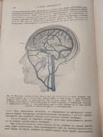 Professors A. Denker and W. Brunings. - Textbook of diseases