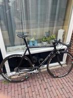 Storck scenario race 58cm zeer mooi, 57 tot 61 cm, Ophalen, Zo goed als nieuw