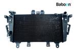 Radiateur Triumph Tiger 1050 2007-2012, Motoren, Onderdelen | Overige, Verzenden, Gebruikt