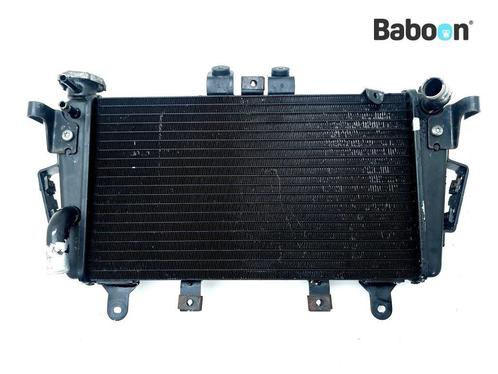 Radiateur Triumph Tiger 1050 2007-2012, Motoren, Onderdelen | Overige, Gebruikt, Verzenden
