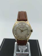 Helvetia - Sector Waffle Dial Automatic - Zonder, Nieuw