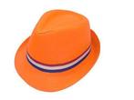 Oranje hoedje, Verzenden, Nieuw, Feestartikel