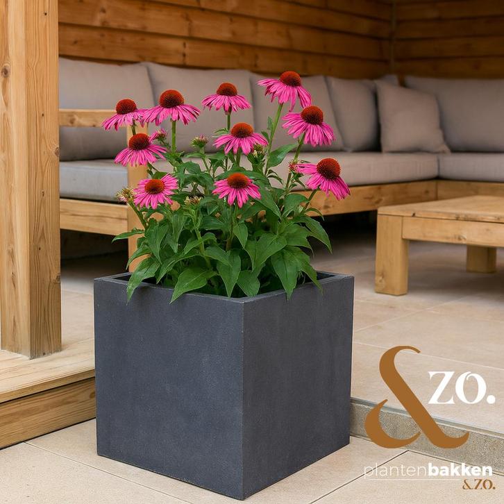 Plantenbak Fiberclay 50x50x50 cm Antraciet, Tuin en Terras, Bloembakken en Plantenbakken, Nieuw, Vierkant, Verzenden