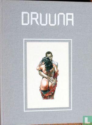 Druuna - 1990, Boeken, Stripboeken, Zo goed als nieuw, Eén stripboek, Verzenden