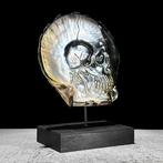 Intricaat gesneden parelmoer schelp - menselijk