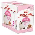 Royal Canin Wet Kitten, Verzenden, Kat