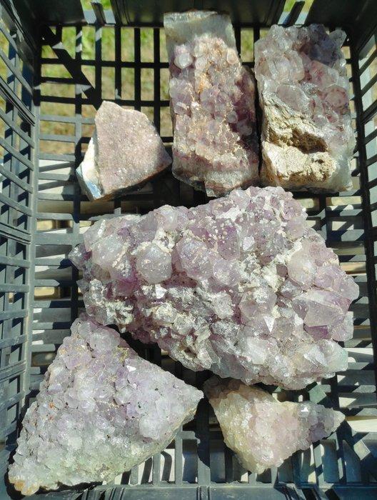 Ametiste Druse- 5440 g - (6), Verzamelen, Mineralen en Fossielen