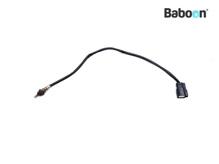 Lambda Sonde Harley-Davidson XL 883 L Sportster SuperLow, Motoren, Onderdelen | Harley-Davidson, Gebruikt, Verzenden