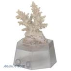 Aqua Medic Coral holder, Ophalen of Verzenden, Nieuw