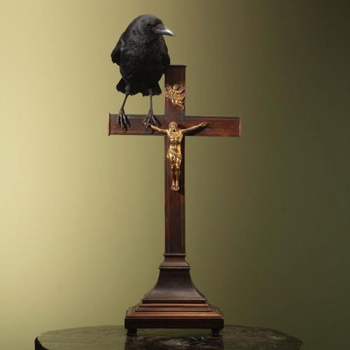 Kraai op Kruis Taxidermie Opgezette Dieren By Max, Verzamelen, Dierenverzamelingen, Opgezet dier, Nieuw, Vogel, Ophalen of Verzenden
